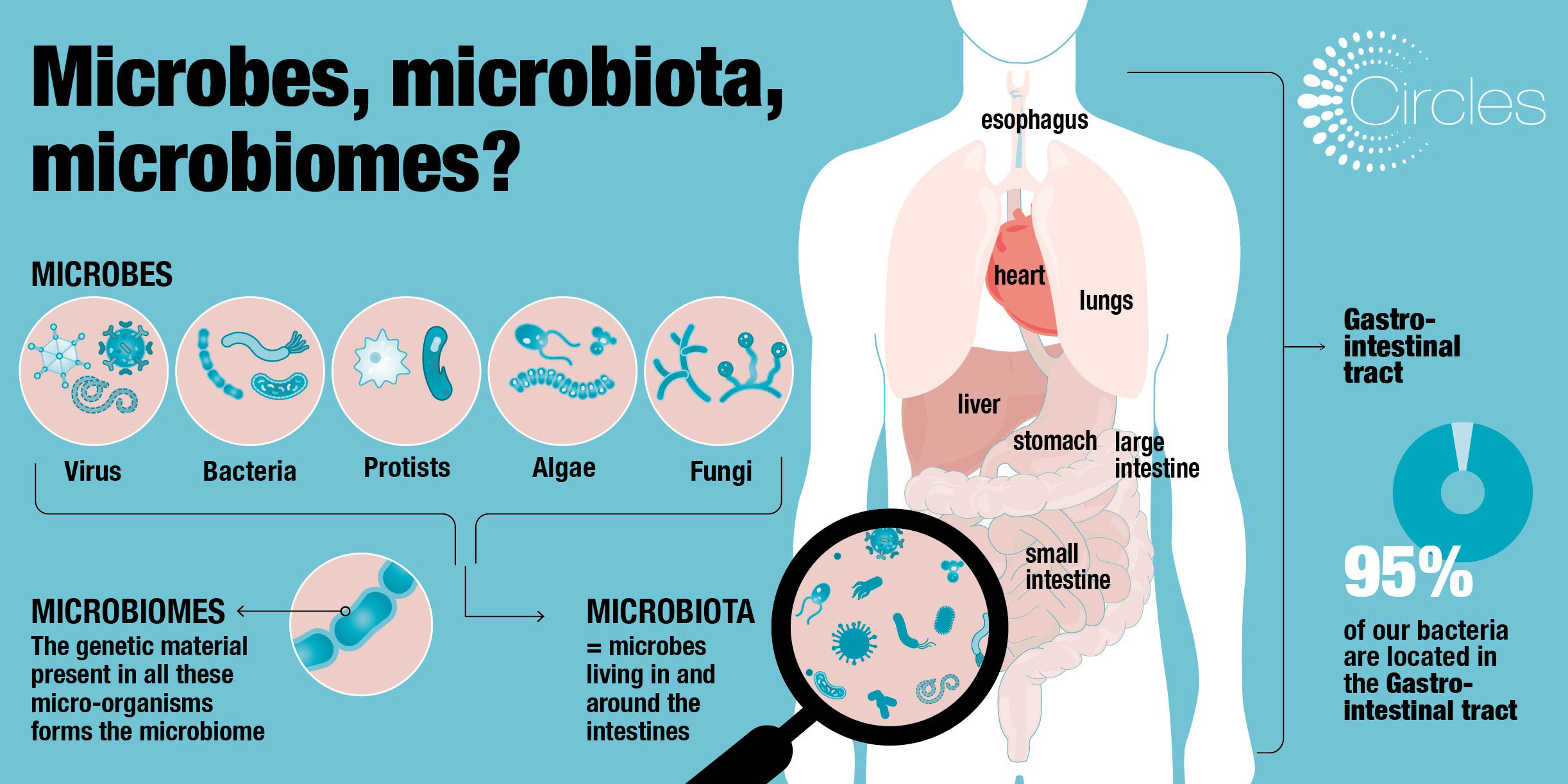Microbes, microbiota, microbiomes