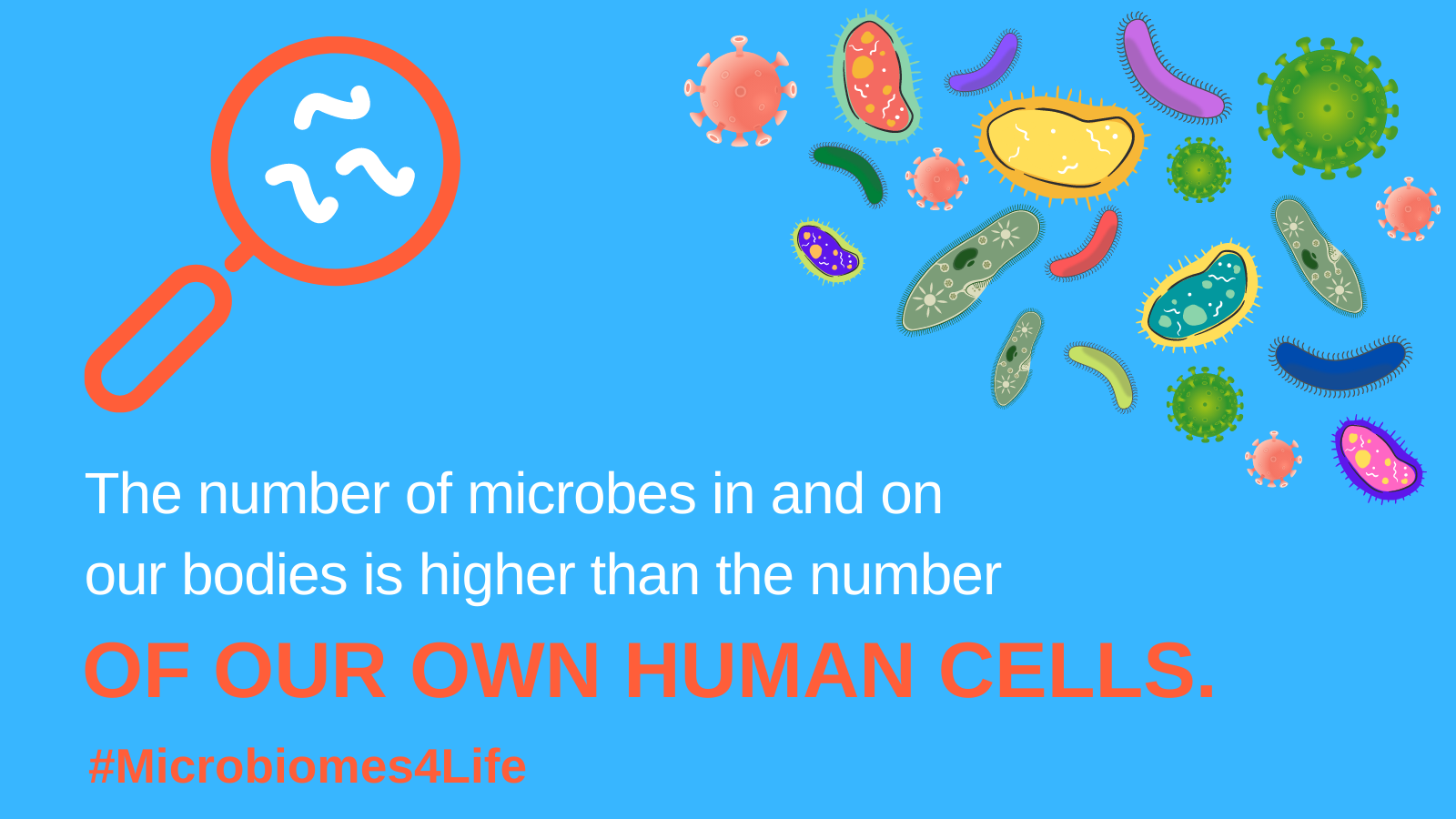 Card 1 – Human cells