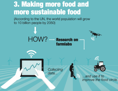 Improving soil in a sustainable way – the key to preserve our food system for the future
