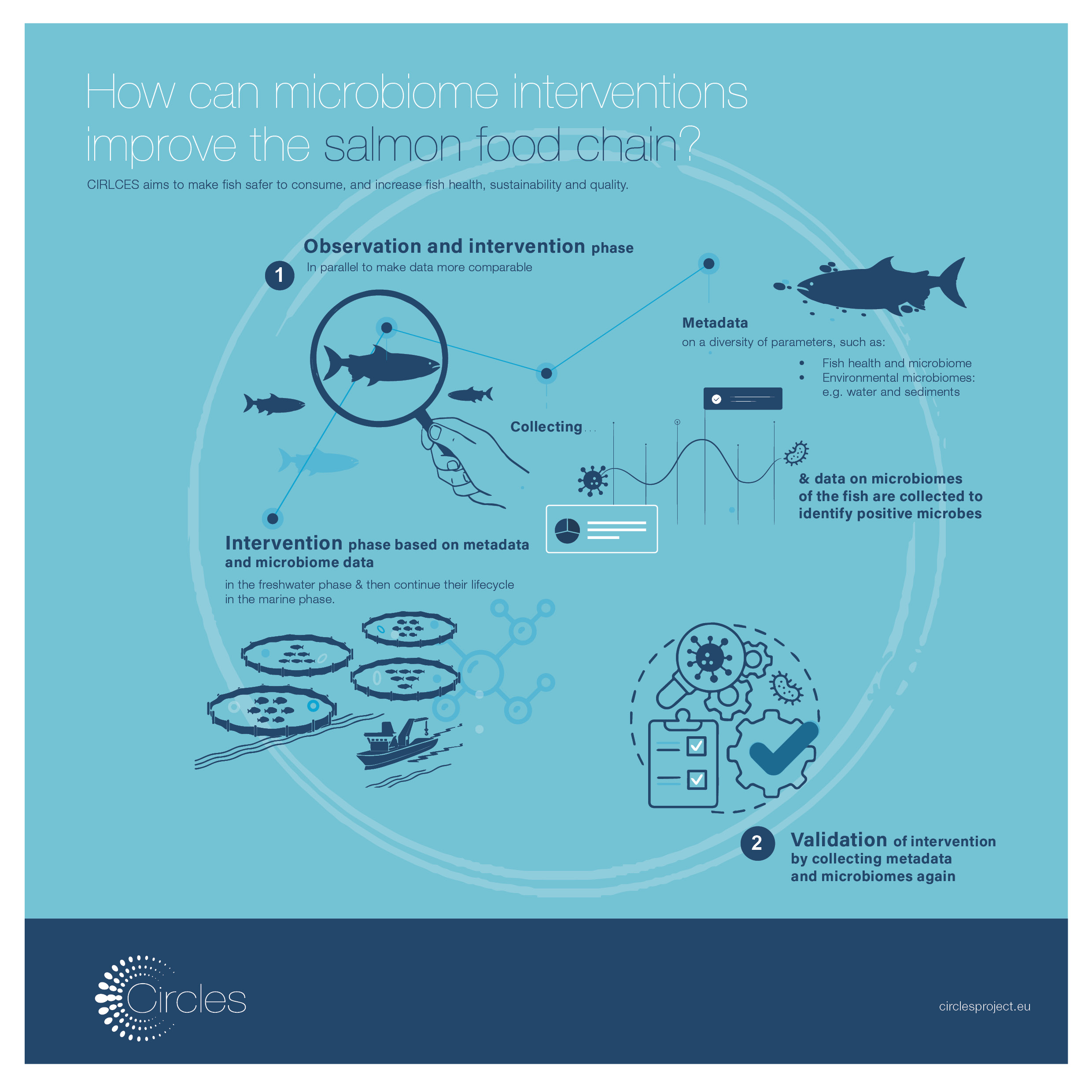 The role of the microbiome in aquaculture – CIRCLES research on seabream and salmon