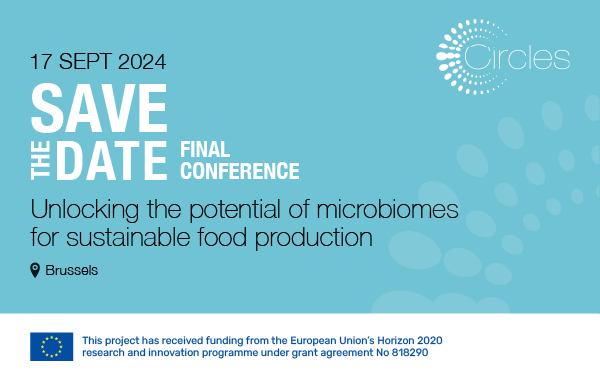 Circles-SaveTheDate-Website