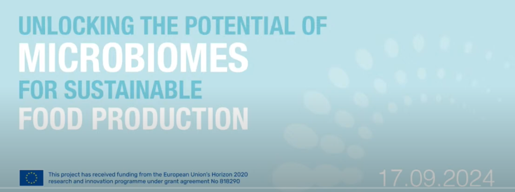 circles home page image